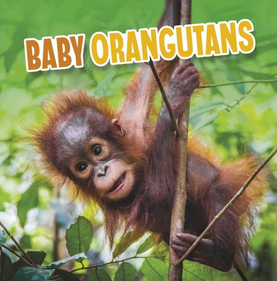 Baby Orangutans - Baby Animals - Martha E. H. Rustad - Kirjat - Capstone Global Library Ltd - 9781398223981 - torstai 13. huhtikuuta 2023