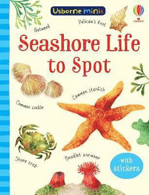 Seashore Life to Spot - Usborne Minis - Sam Smith - Kirjat - Usborne Publishing Ltd - 9781474974981 - torstai 4. maaliskuuta 2021