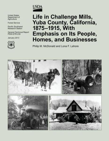 Cover for Lynn Mcdonald · Life in Challenge Mills, Yuba County, California, 1875-1915, with Emphasis on Its People, Homes, and Businesses (Paperback Book) (2015)