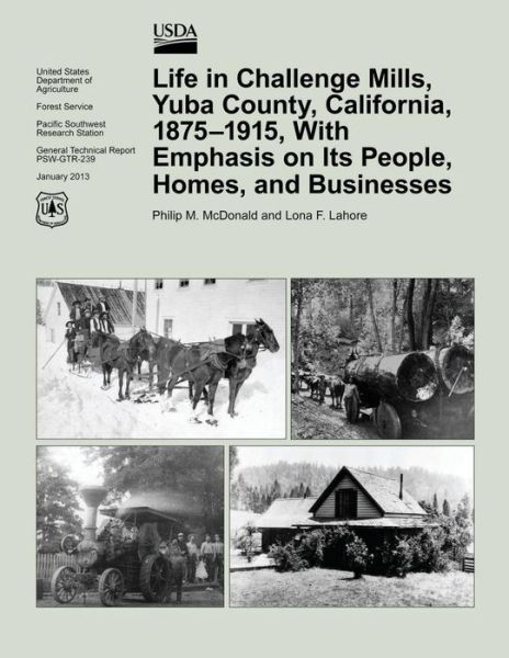 Life in Challenge Mills, Yuba County, California, 1875-1915, with Emphasis on Its People, Homes, and Businesses - Lynn Mcdonald - Books - Createspace - 9781507535981 - February 14, 2015