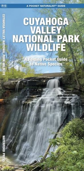 Cover for Waterford Press · Cuyahoga Valley National Park Wildlife: A Folding Pocket Guide to Native Species - Pocket Naturalist Guide (Pamphlet) (2024)