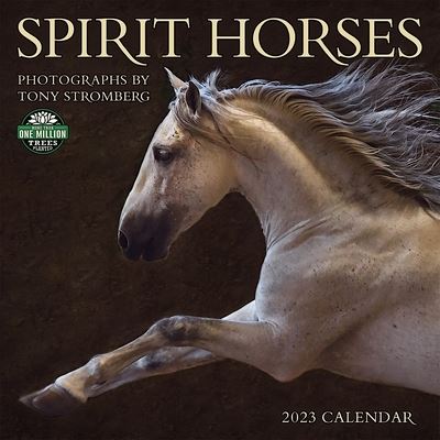 Cover for Tony Stromberg · Spirit Horses 2023 Wall Calendar - Square (Kalender) (2022)