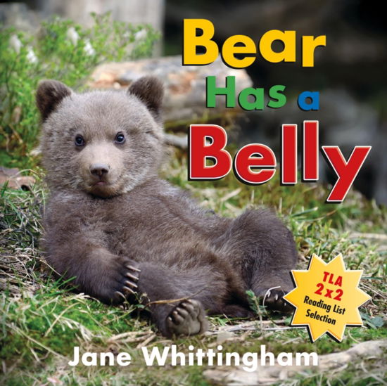 Cover for Jane Whittingham · Bear Has a Belly - Big, Little Concepts (Board book) (2023)