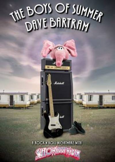 The Boys of Summer - Dave Bartram - Bücher - Fantom Films Limited - 9781781960981 - 16. Oktober 2013