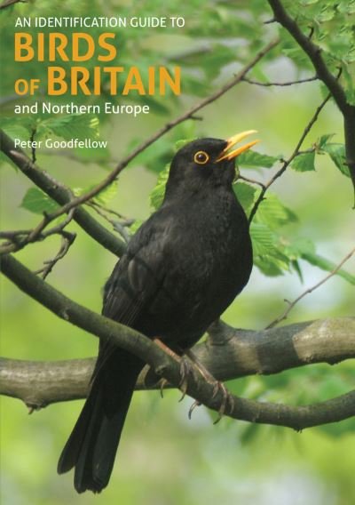 An Identification Guide to Birds of Britain and Northern Europe (2nd edition) - Peter Goodfellow - Books - John Beaufoy Publishing Ltd - 9781912081981 - June 24, 2021