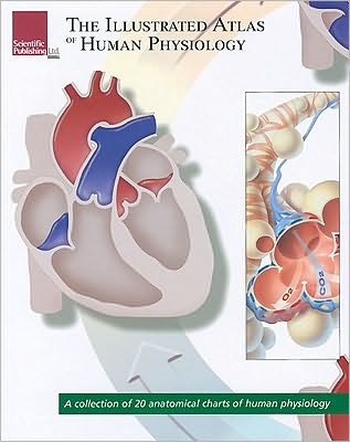 Illustrated Atlas of Human Physiology: A Collection of 20 Anatomical Charts of Human Physiology - Scientific Publishing - Książki - Scientific Publishing - 9781932922981 - 23 czerwca 2009