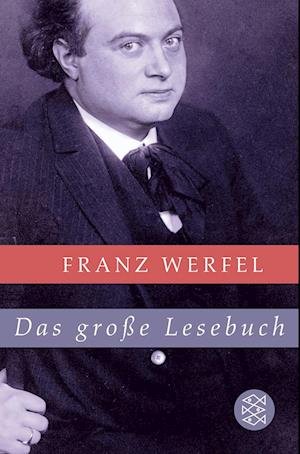 Cover for Franz Werfel · Das große Lesebuch (Paperback Book) (2008)