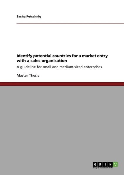 Identify potential countries for a market entry with a sales organisation: A guideline for small and medium-sized enterprises - Sasha Petschnig - Książki - Grin Verlag - 9783640119981 - 29 lipca 2008