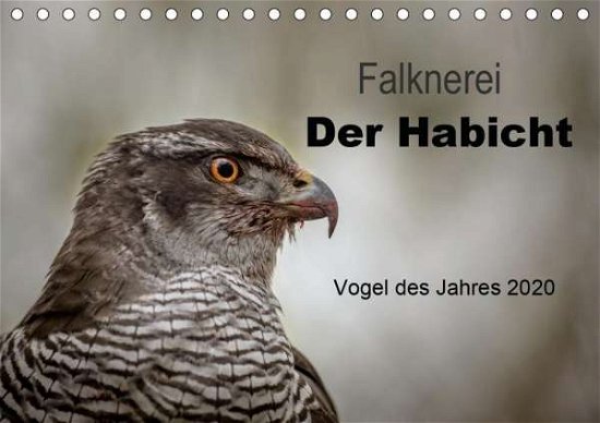 Cover for Brandt · Falknerei Der Habicht (Tischkale (Bok)