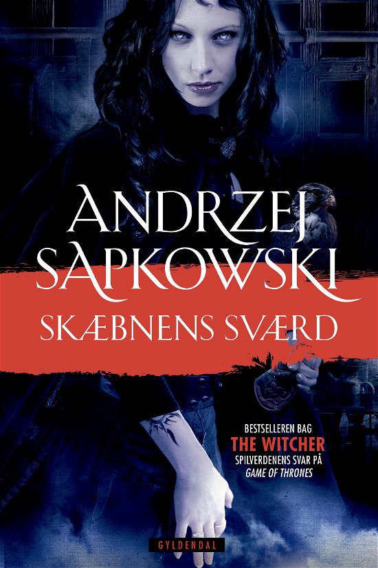Cover for Andrzej Sapkowski · Witcher-serien: THE WITCHER 2 (Sewn Spine Book) [1th edição] (2017)