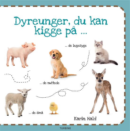 Cover for Karin Hald · Dyreunger, du kan kigge på (Pappbok) [1:a utgåva] (2021)