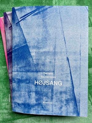 Cover for Theresa Salomonsen · Højsang (Sewn Spine Book) [1.200 edition] (2021)