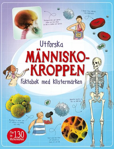 Cover for Alex Frith · Utforska människokroppen : faktabok med klistermärken (Bok) (2014)