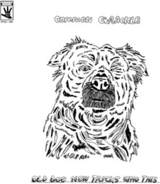 Cover for Common Grackle · Old Dog New Tricks Who This (LP) (2021)