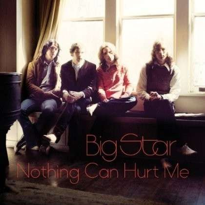 Cover for Big Star · Nothing Can Hurt Me (LP) (2014)