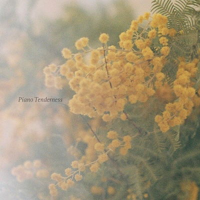 Cover for (Healing) · Piano Tenderness (CD) [Japan Import edition] (2023)