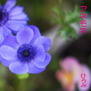 Cover for Hiromi · Anemone (SCD) [Japan Import edition] (2021)