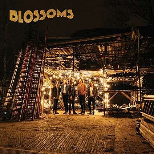 Cover for Blossoms (CD) (2017)