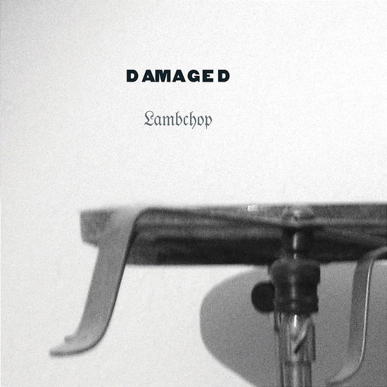 Damaged - Lambchop - Musik - CITY SLANG - 5033197410982 - 19. september 2006