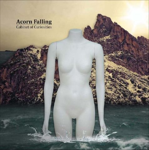 Cover for Acorn Falling · Cabinet of Curiosities (CD) (2012)
