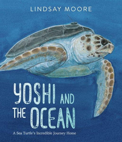 Cover for Lindsay Moore · Yoshi and the Ocean: A Sea Turtle's Incredible Journey Home (Hardcover Book) (2022)