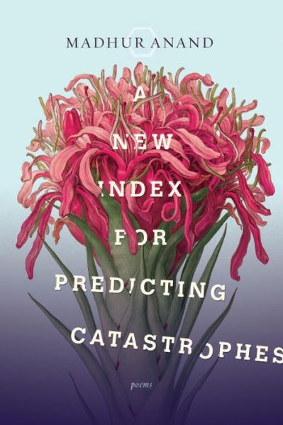 Cover for Madhur Anand · A New Index for Predicting Catastrophes (Paperback Book) (2015)