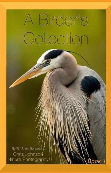 Cover for R J · A Birder's Collection (Paperback Book) (2019)