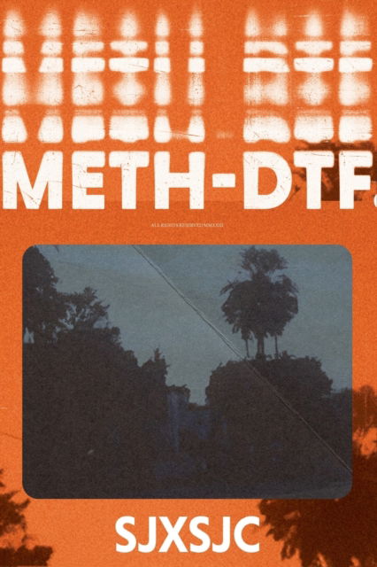 Meth-DTF. - Shane Jesse Christmass - Livros - IngramSpark - 9781088091982 - 24 de agosto de 2023