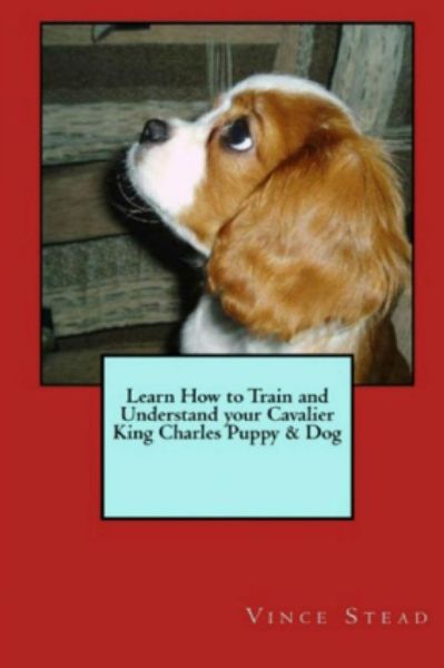 Cover for Vince Stead · Learn How to Train and Understand Your Cavalier King Charles Puppy &amp; Dog (Paperback Book) (2015)