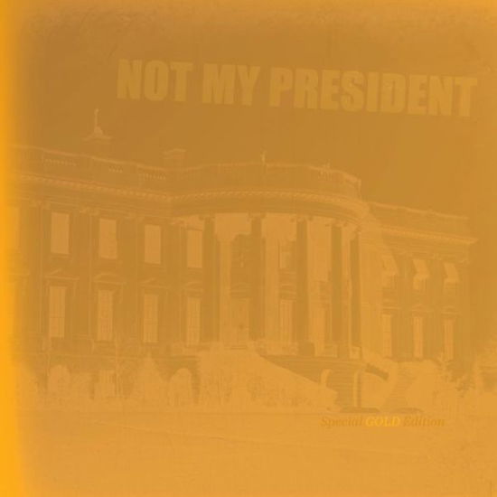Cover for Keegan Shiner · Not My President (Paperback Book) (2017)