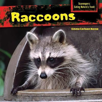 Cover for Emma Carlson Berne · Raccoons (Book) [First edition. edition] (2015)