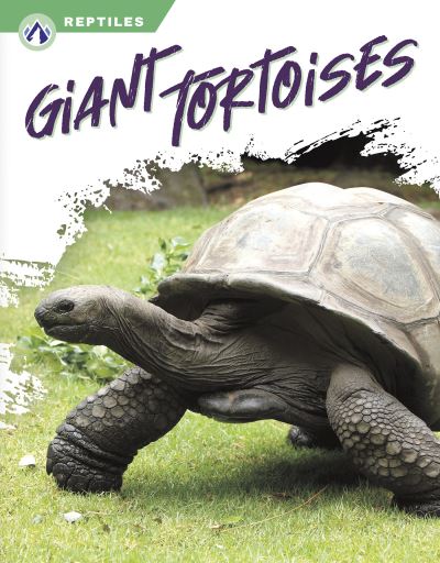 Cover for Megan Gendell · Giant Tortoises (Book) (2023)