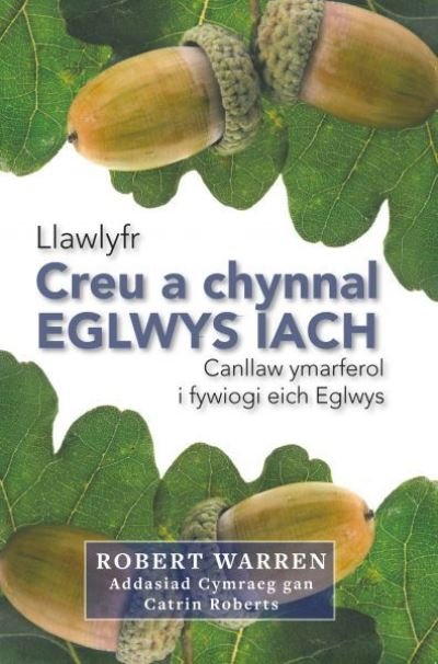 Cover for Robert Warren · Creu a Chynnal Eglwys Iach (Paperback Book) (2016)