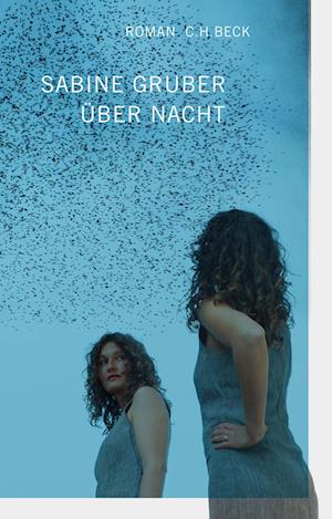 Cover for Sabine Gruber · Ãœber Nacht (Book)