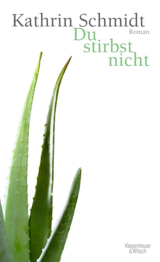 Cover for Kathrin Schmidt · Du Stirbst Nicht (Book)