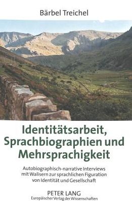 Cover for Barbel Treichel · Identitatsarbeit, Sprachbiographien und Mehrsprachigkeit; Autobiographisch-narrative Interviews mit Walisern zur sprachlichen Figuration von Identitat und Gesellschaft (Paperback Book) (2004)