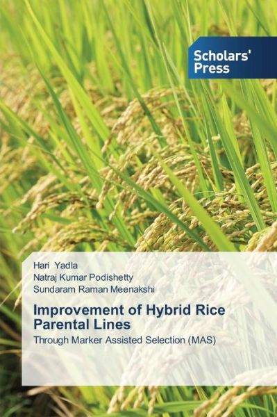 Cover for Sundaram Raman Meenakshi · Improvement of Hybrid Rice Parental Lines: Through Marker Assisted Selection (Mas) (Pocketbok) (2014)