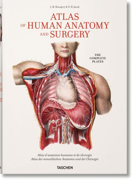 Cover for Henri Sick · Bourgery. Atlas of Human Anatomy and Surgery (Hardcover Book) [Multilingual edition] (2017)