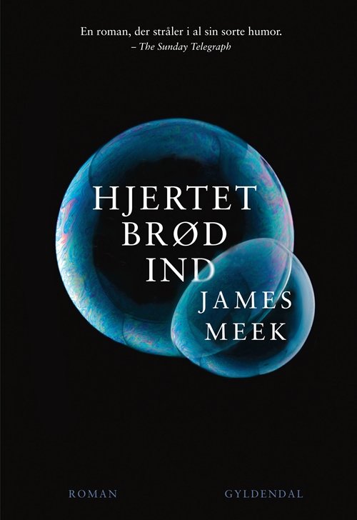 Hjertet brød ind - James Meek - Livros - Gyldendal - 9788702136982 - 24 de maio de 2013