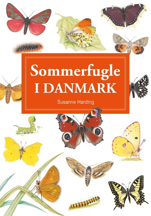 Spiralbogsserien: Sommerfugle i Danmark - display med 10 stk - Susanne Harding - Bøger - Exlibris Media/Forlaget Zara - 9788771420982 - 21. marts 2022