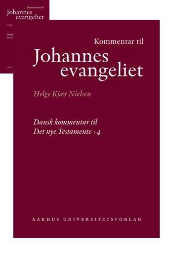 Cover for Helge Kjær Nielsen · Dansk kommentar til Det nye testamente (DKNT).: Kommentar til Johannesevangeliet (Bound Book) [1. Painos] [Indbundet] (2007)
