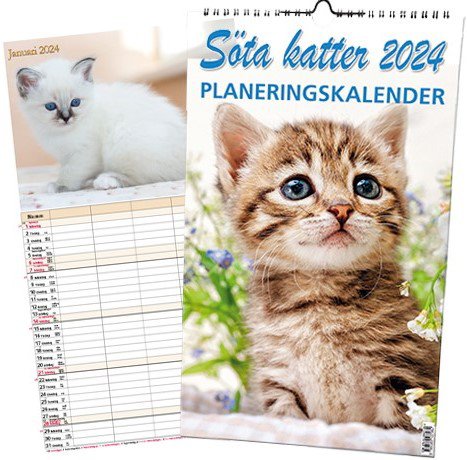 Cover for Söta katter Planeringskalender 2024 (Spiral Book) (2023)