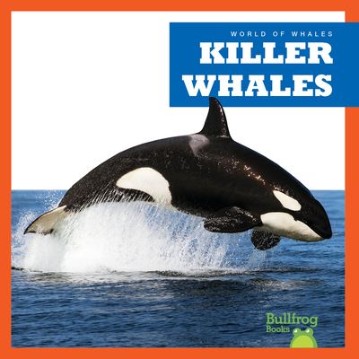 Cover for Katie Chanez · Killer Whales - World of Whales (Hardcover Book) (2023)