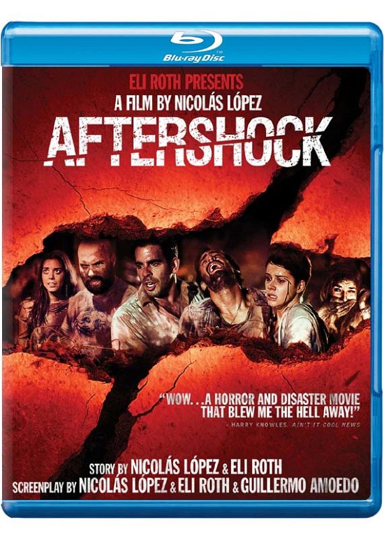 Cover for Aftershock (Blu-ray) (2013)