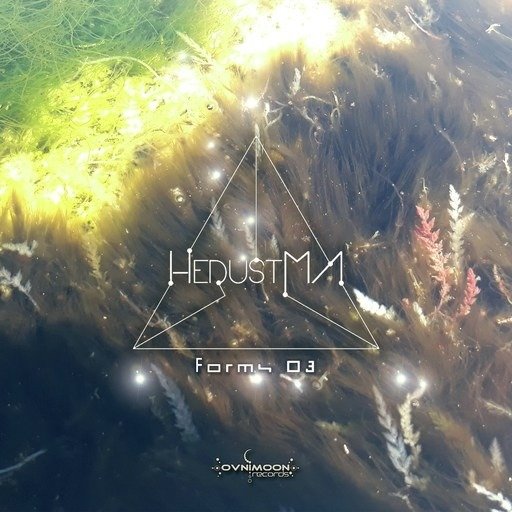 Forms 03 - Hedustma - Musik - OVNIMOON RECORDS - 0881034114983 - 19 augusti 2019