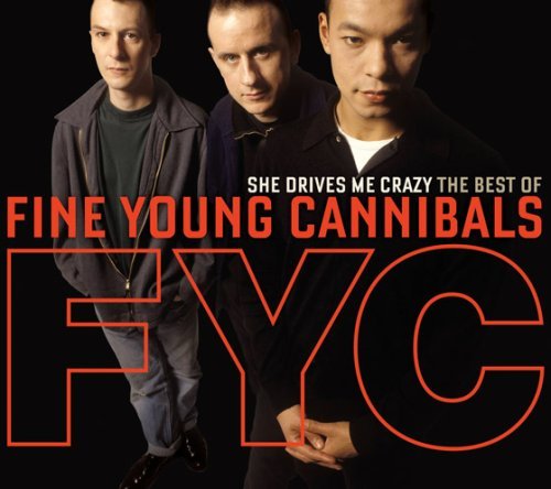 Cover for Fine Young Cannibals · She Drives Me Crazy - Best of (CD) (2009)
