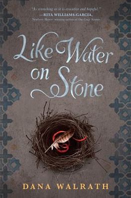 Cover for Dana Walrath · Like Water on Stone (Book) (2015)