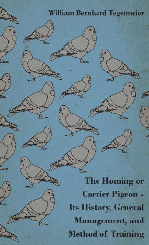 Cover for Velox · The Homing or Carrier Pigeon (Hardcover Book) (2009)