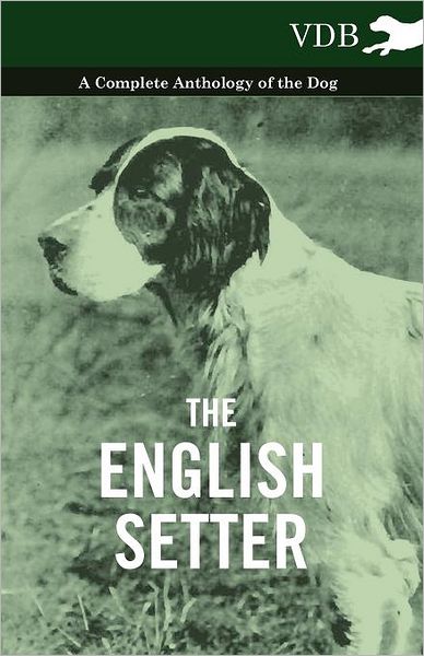 Cover for The English Setter - a Complete Anthology of the Dog (Pocketbok) (2010)