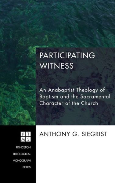 Cover for Anthony G Siegrist · Participating Witness (Hardcover Book) (2013)